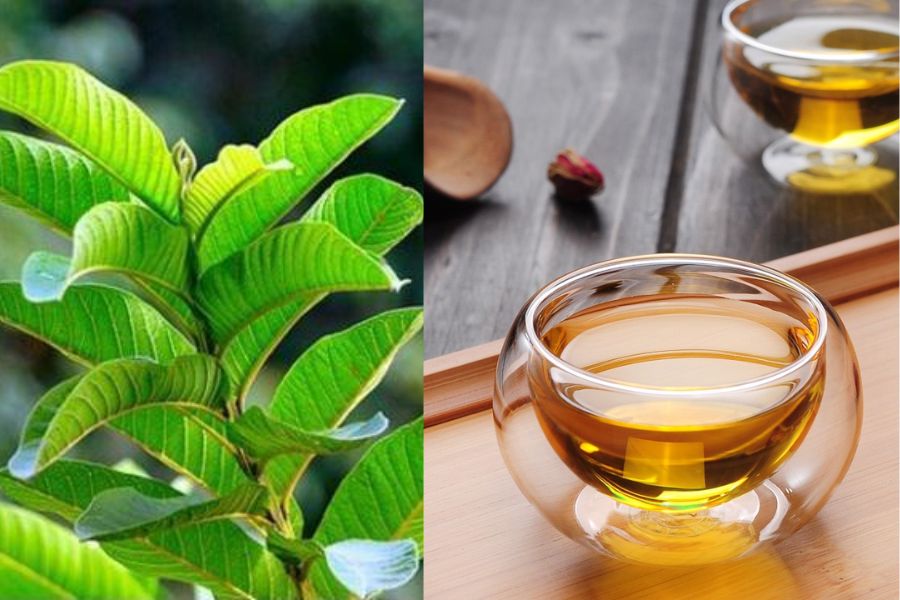 “Cây nhà lá vườn” nhưng cực kỳ hiệu quả trong việc điều trị bệnh tiểu đường 5