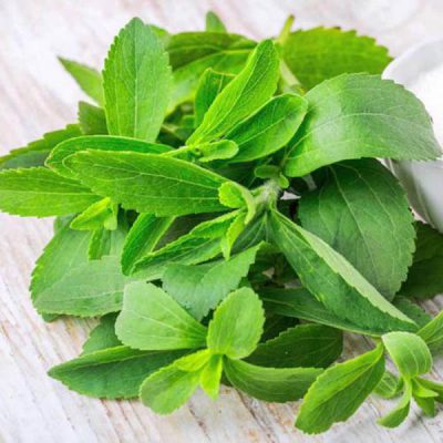 Cách sử dụng cây cỏ ngọt hiệu quả cho người bệnh tiểu đường 3