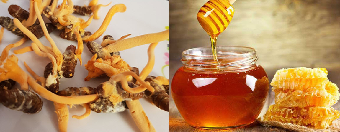 Đông trùng hạ thảo - Điều hòa đường huyết và ngăn ngừa biến chứng cho người bệnh tiểu đường 10