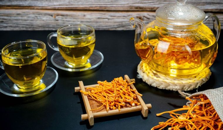 Đông trùng hạ thảo - Điều hòa đường huyết và ngăn ngừa biến chứng cho người bệnh tiểu đường 7