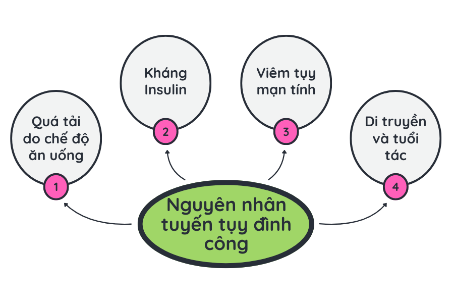 Vì sao đường huyết tăng cao? Nguyên nhân tuyến tụy "đình công" 3