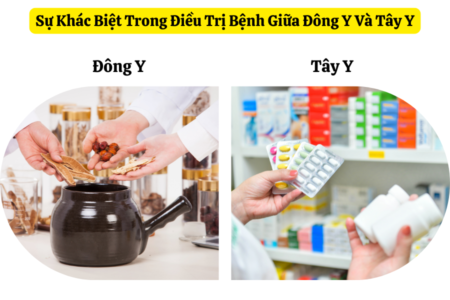 Điều trị bệnh tiểu đường - Sự khác biệt giữa phương pháp Đông y và Tây y 1