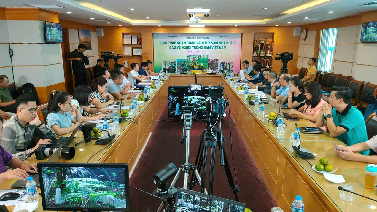 Sâm Lai Châu