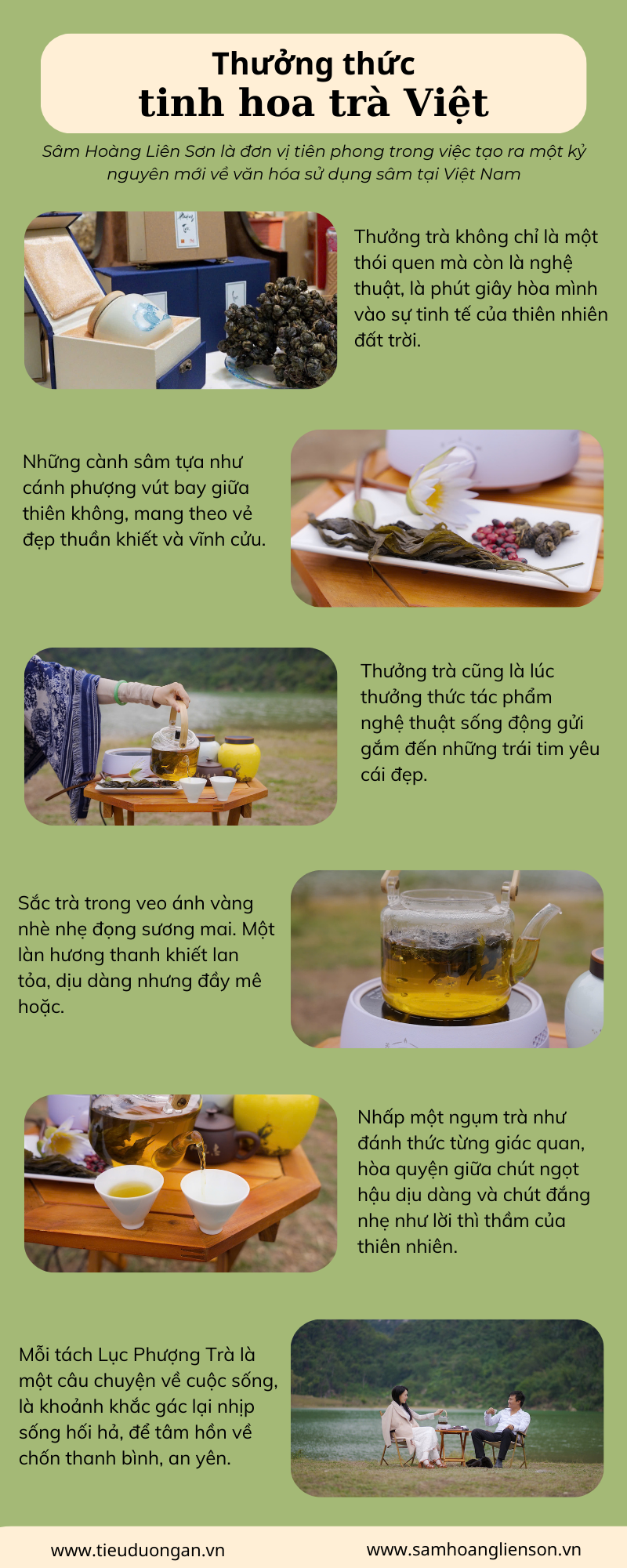 Lục Phượng Trà (phân khúc sử dụng) 4