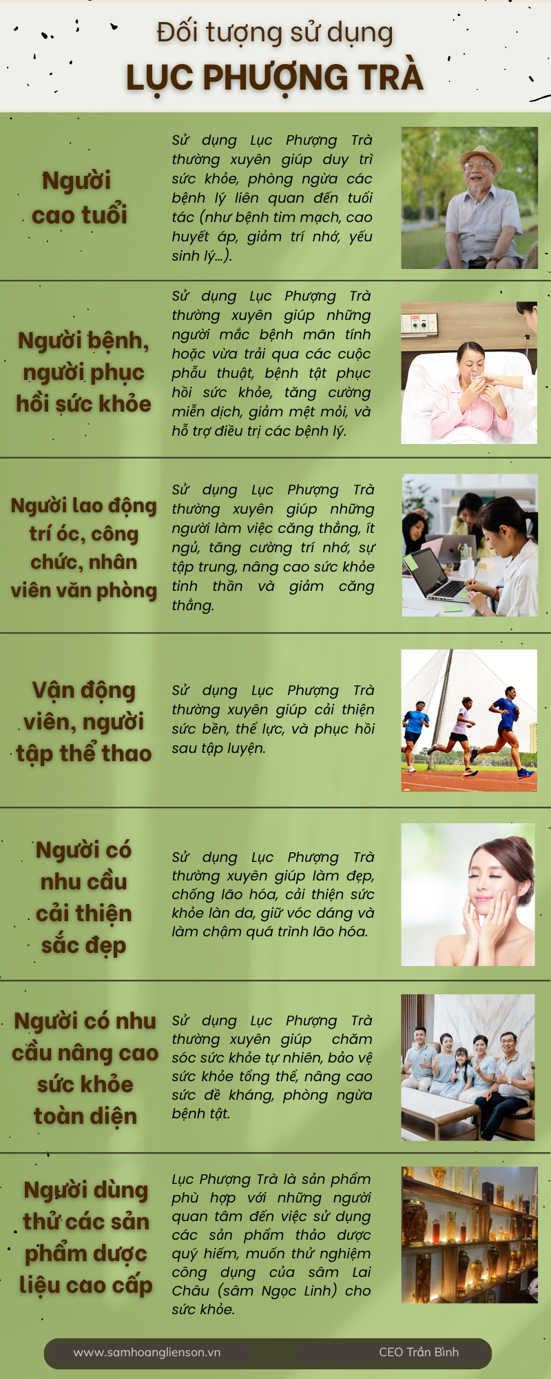 Lục Phượng Trà (trà lá sâm trên 6 năm tuổi) 2