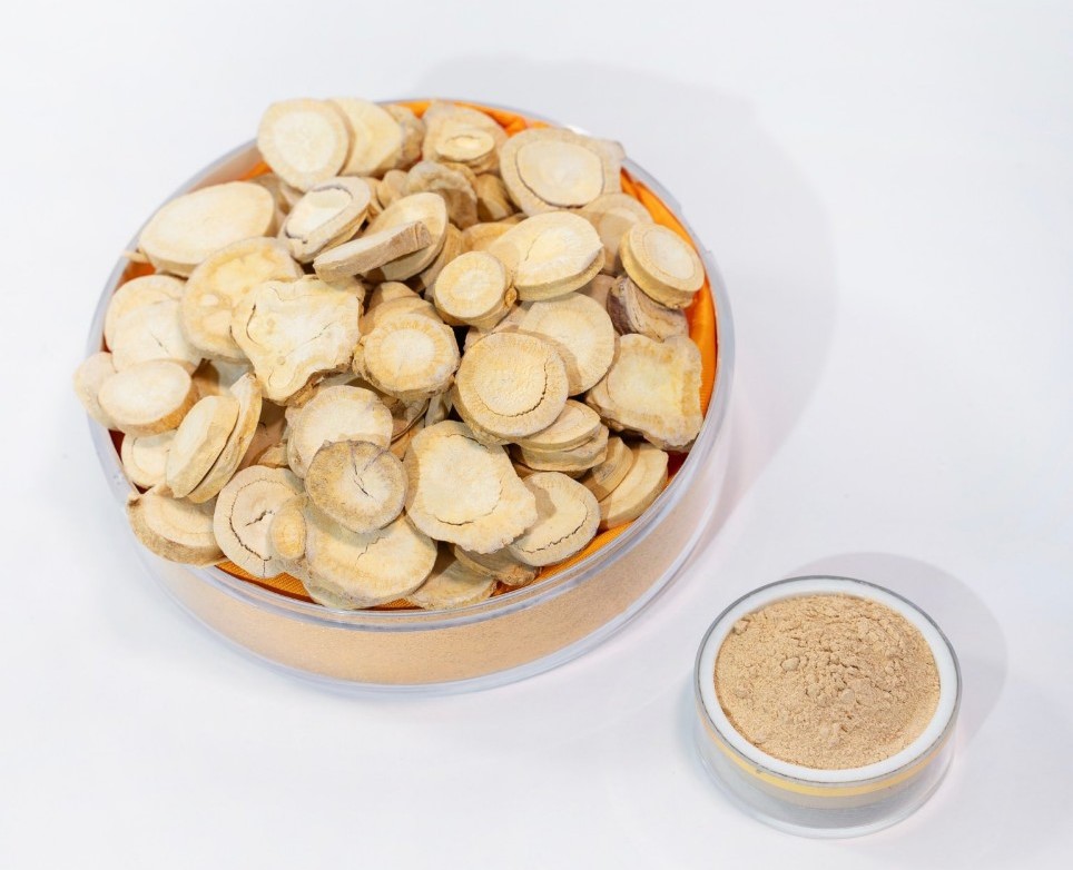 Sâm Thái Lát - Sấy Thăng Hoa (500 gr - loại trên 8 năm tuổi) 3