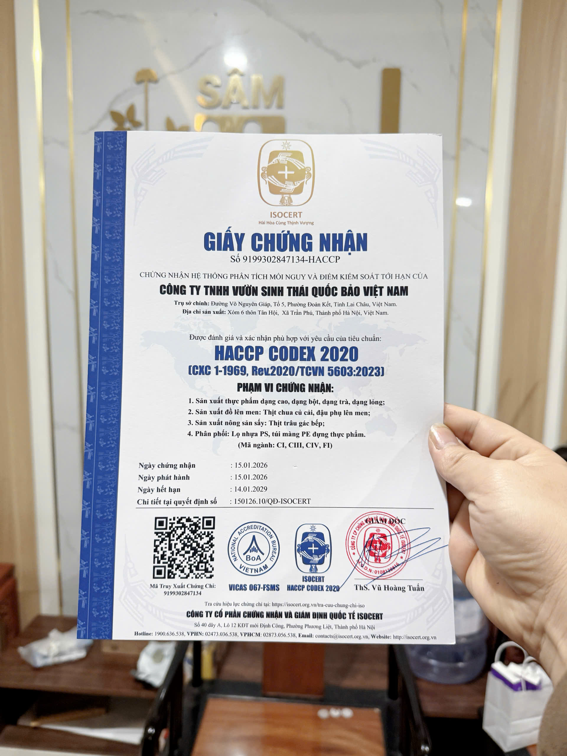 Sâm trộn mật ong (30gr bột sâm nguyên chất) 8