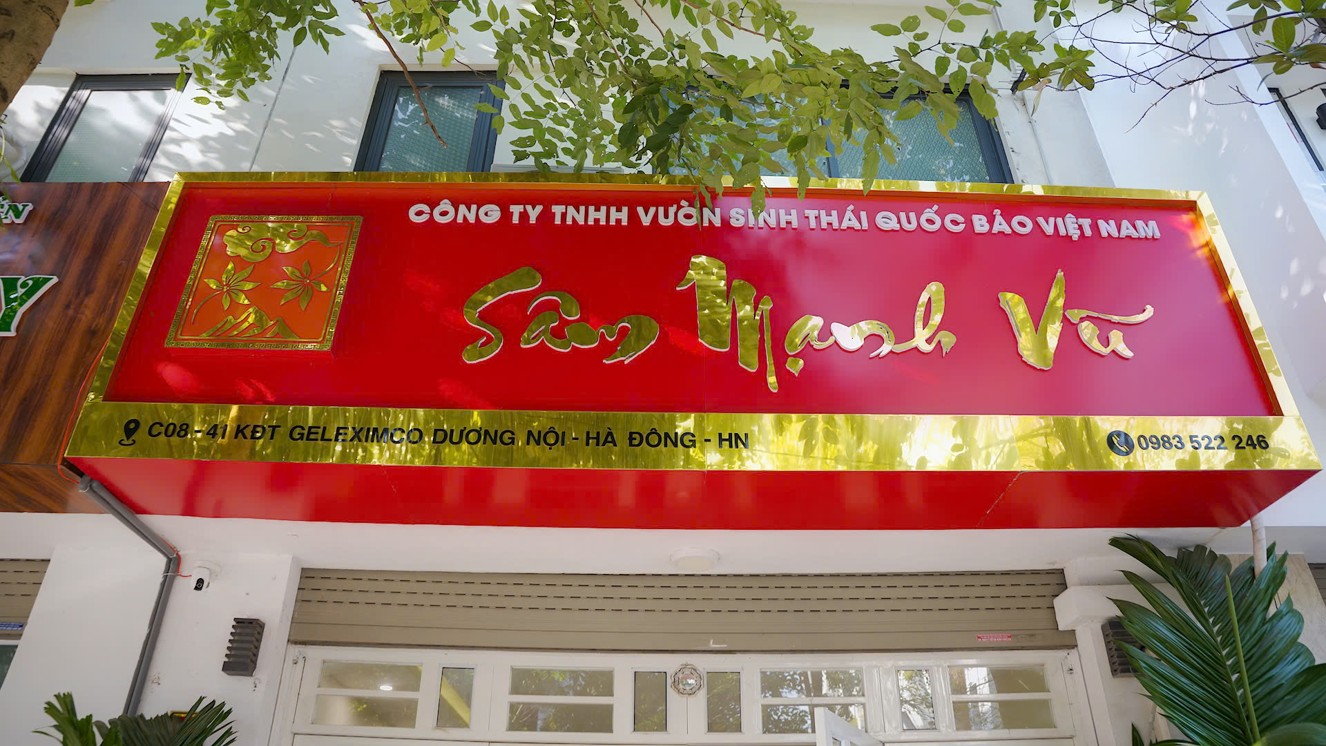 Trà Sâm An Đường (1 hộp 30 gói- liều tiêu chuẩn) 4