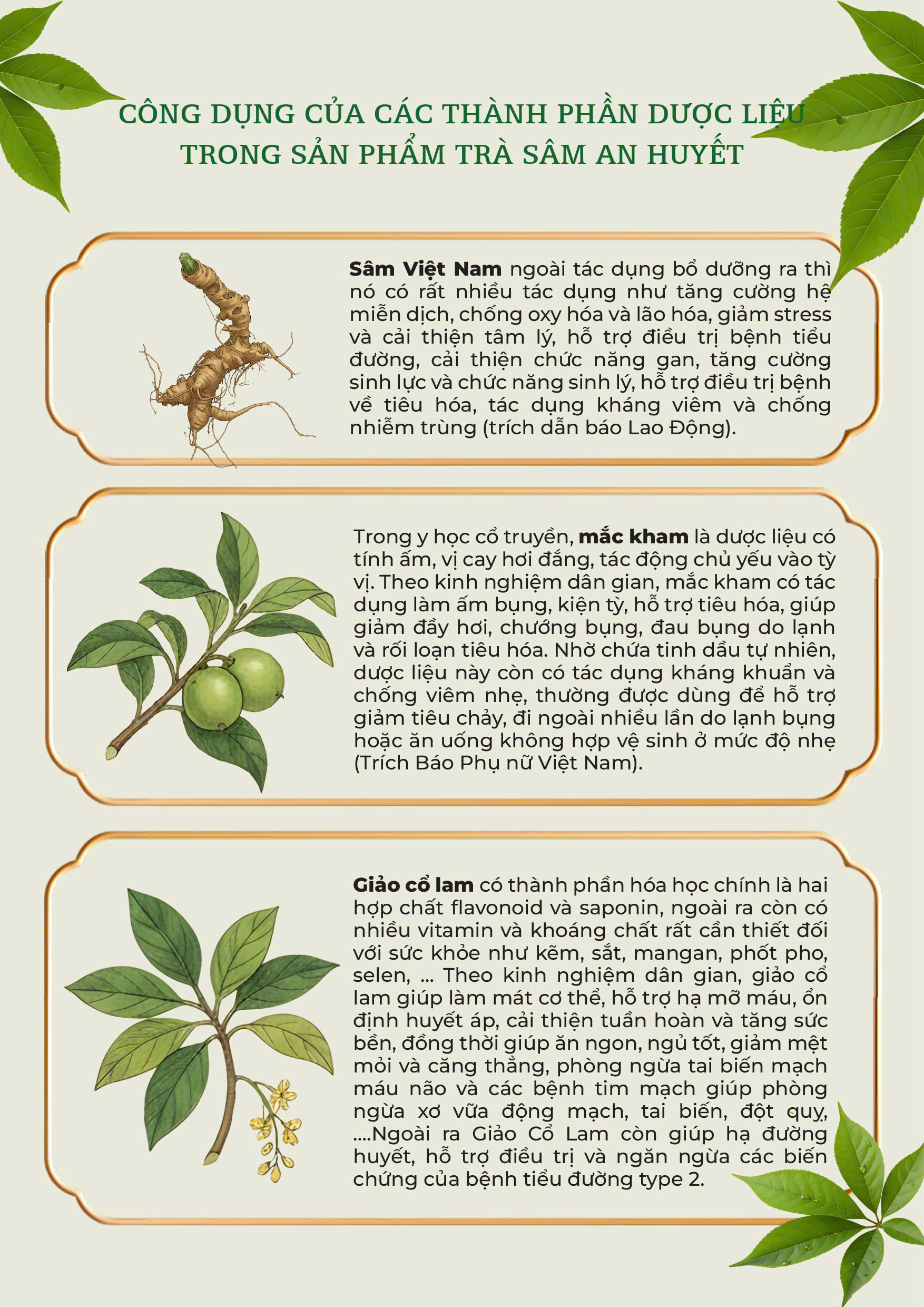 Trà Sâm An Huyết - Túi 450 gram 8